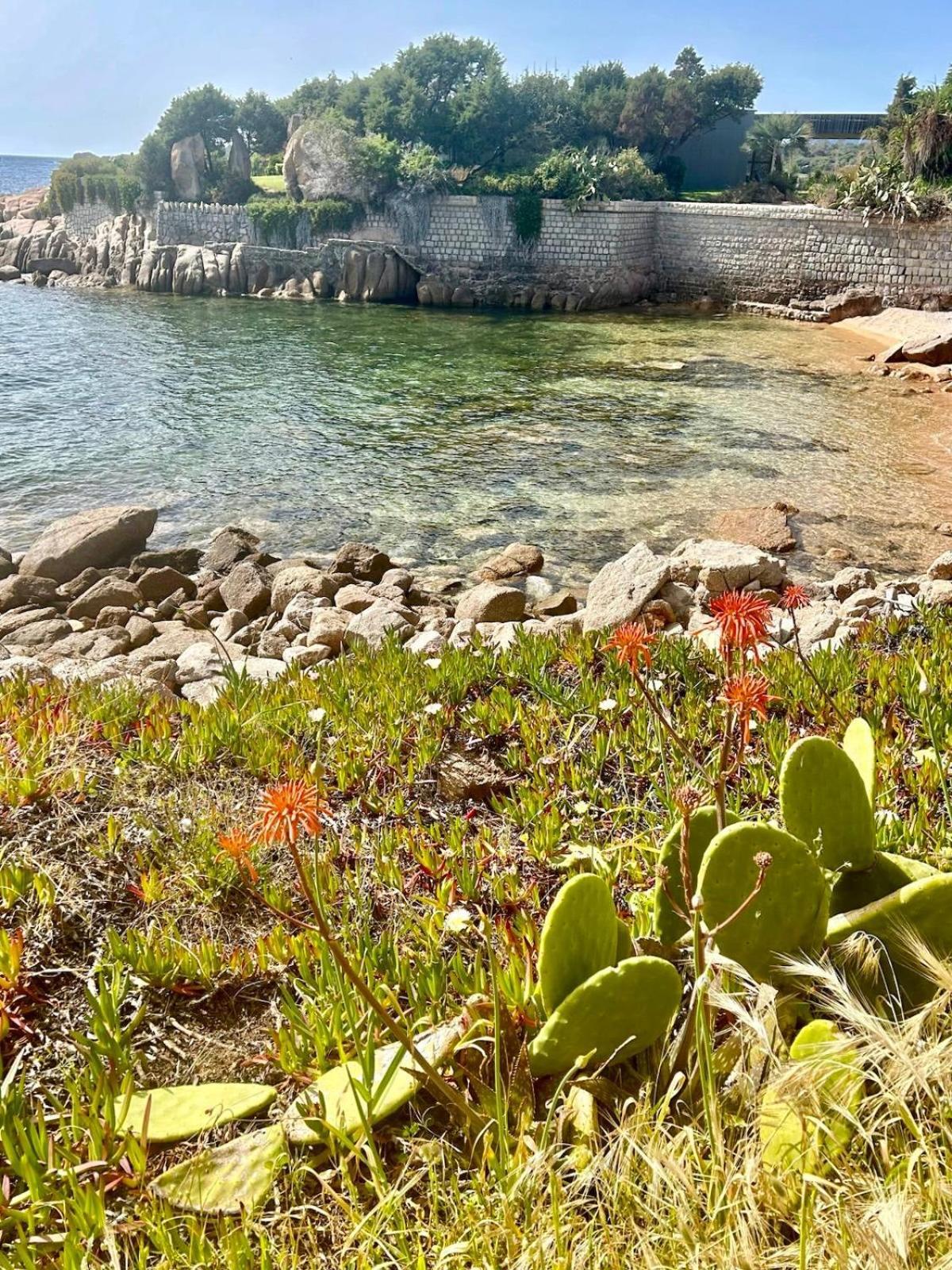 Villa Macalia Pietrosella Buitenkant foto